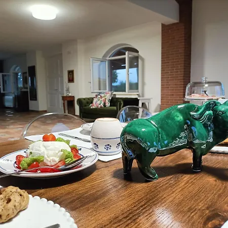 La Ricarda Dimora Di Campagna 住宿加早餐酒店 4*