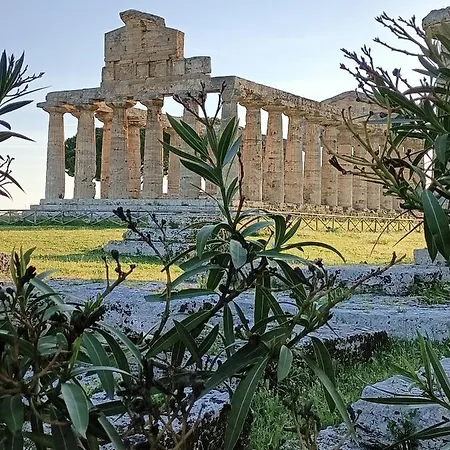 La Ricarda Dimora Di Campagna 4* Πέστουμ