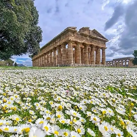 La Ricarda Dimora Di Campagna Bed & Breakfast Paestum